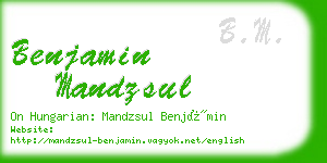 benjamin mandzsul business card